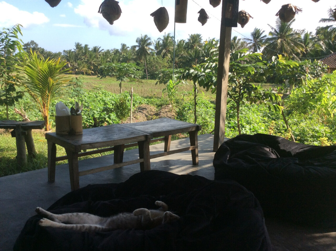 Sweet Orange Warung