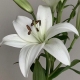 yulliya_ch avatar