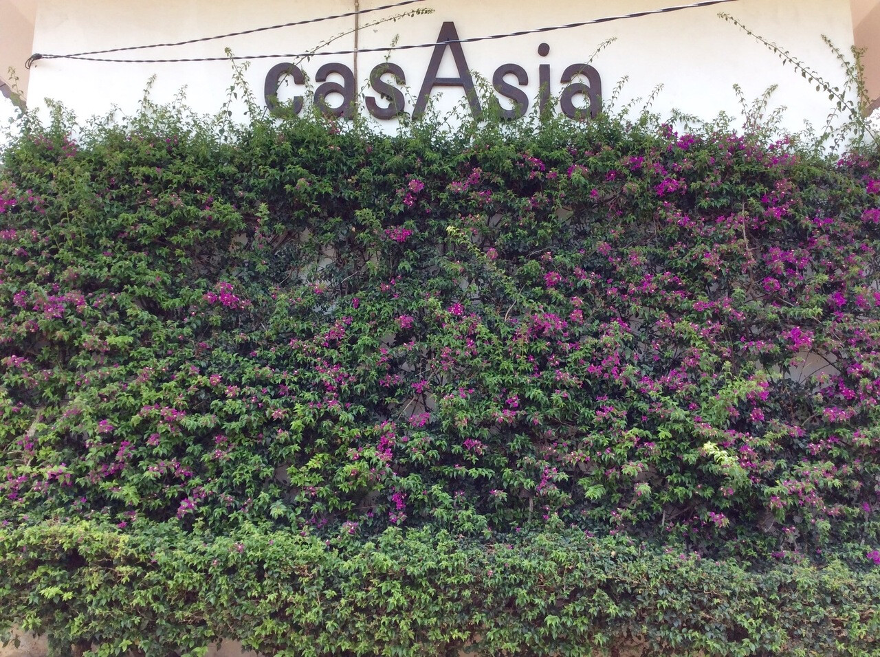 Casa Asia Ungasan