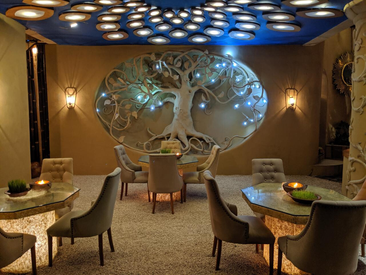 Akasha Restaurant & Juice Bar