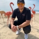 tematema888 avatar