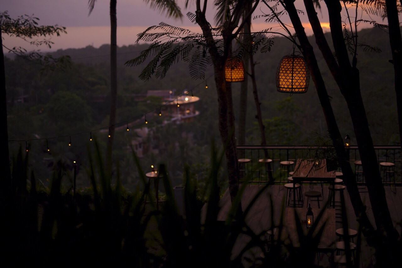 The Sayan House
