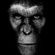 s3t avatar