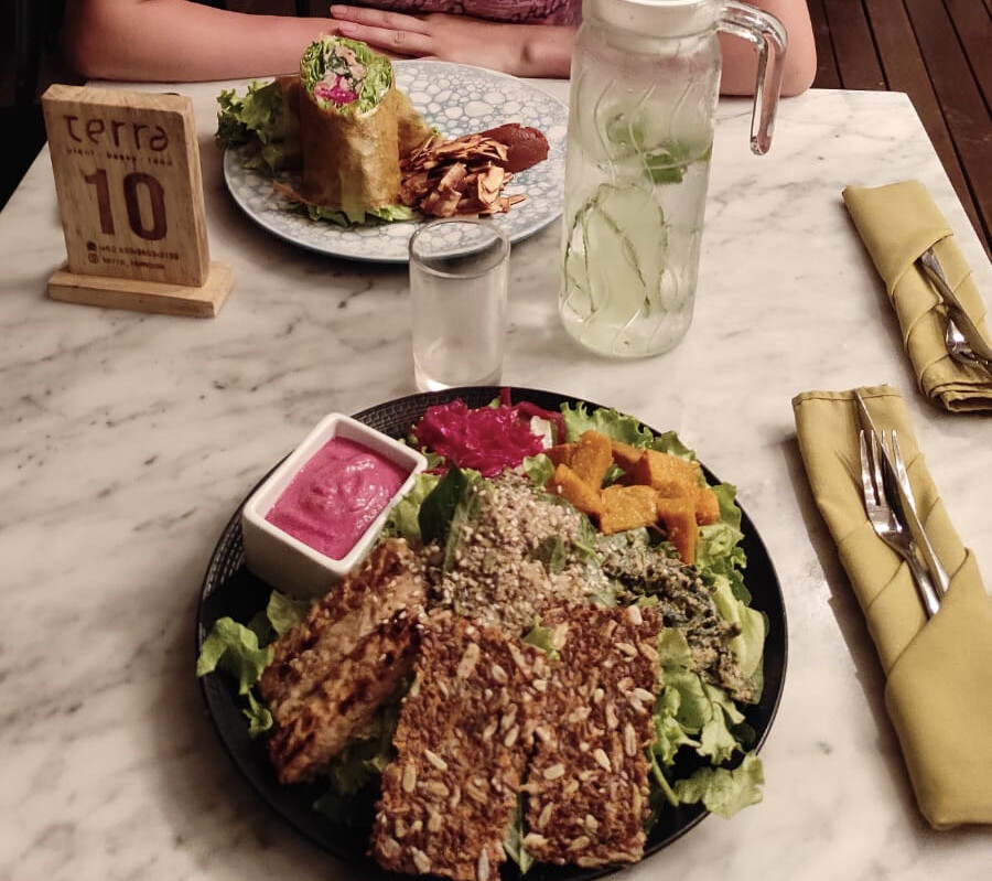 Terra - Plant Based Food