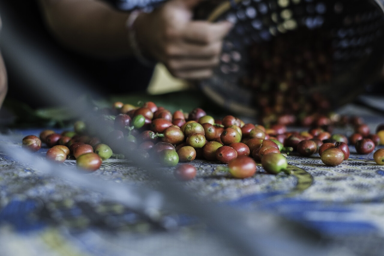 SUKSMA KOPI UBUD