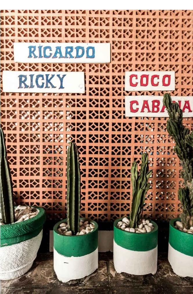 Motel Mexicola