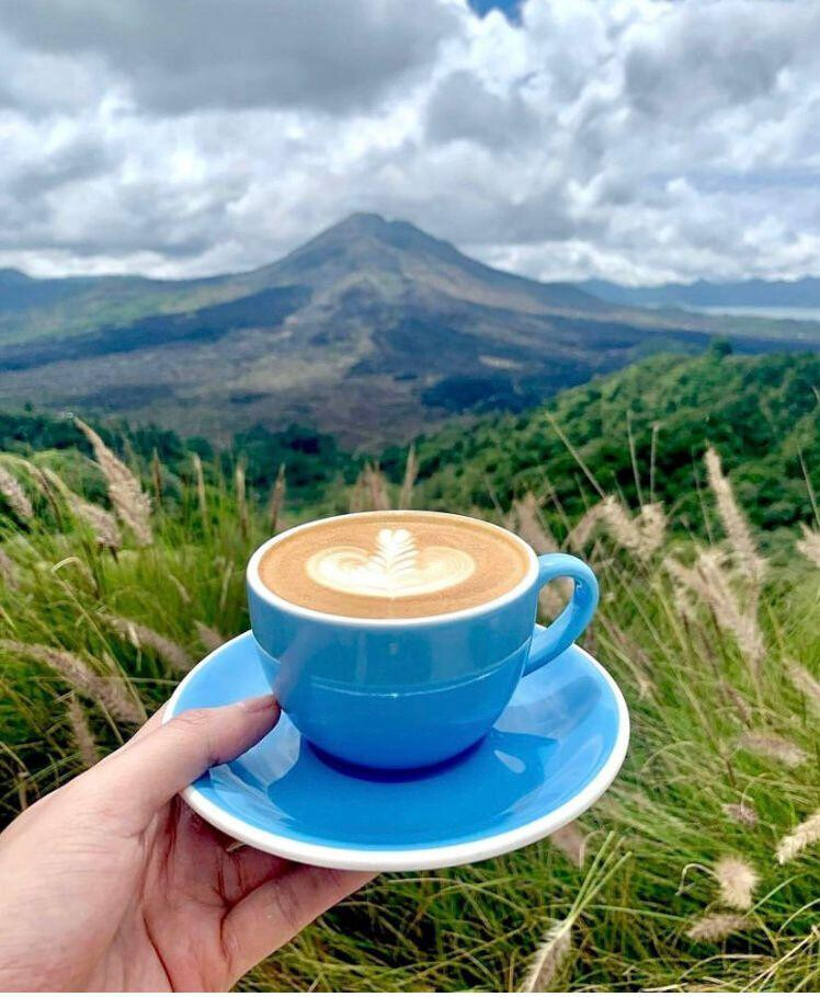 Montana del Cafe