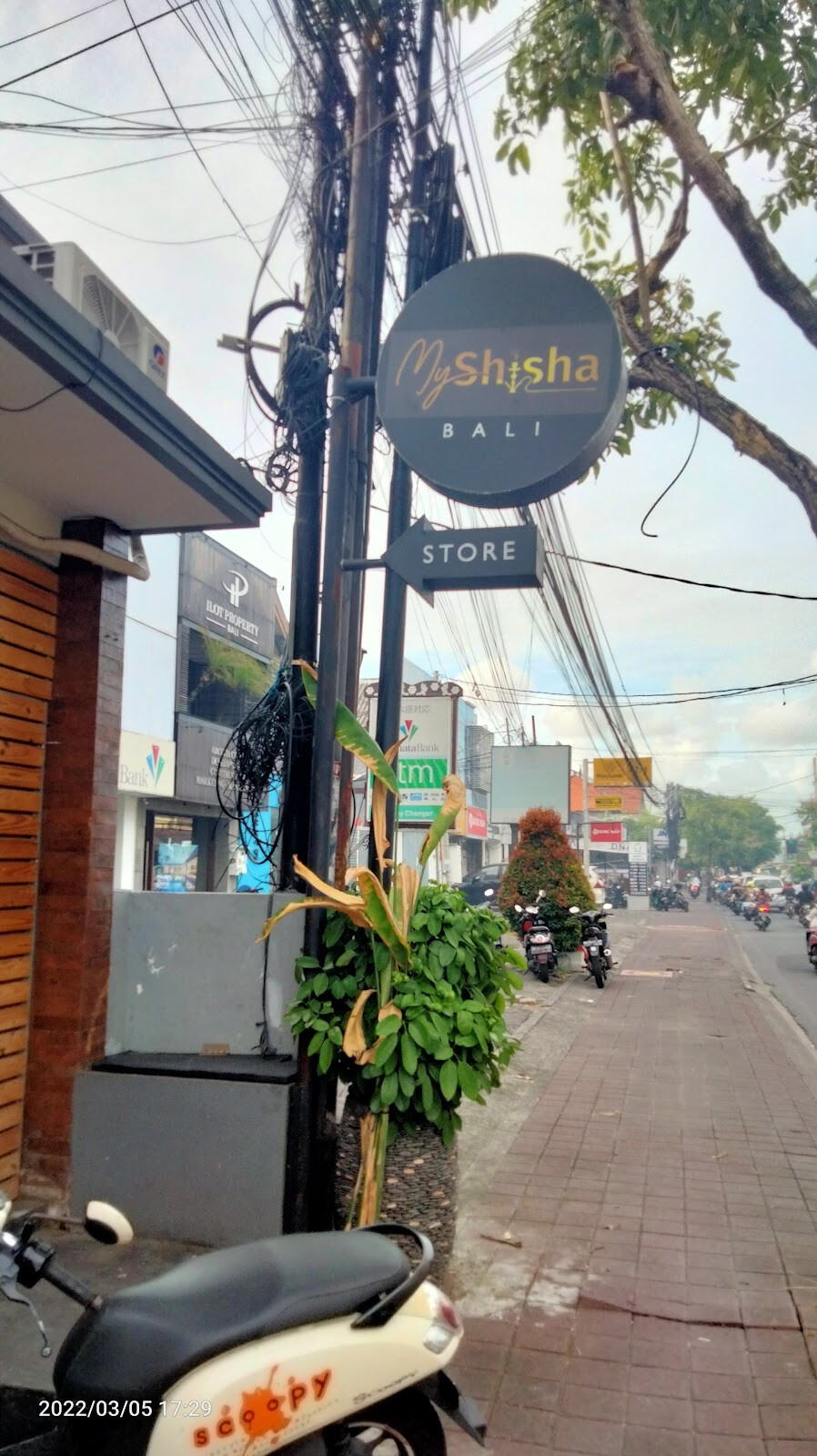 Myshisha Bali