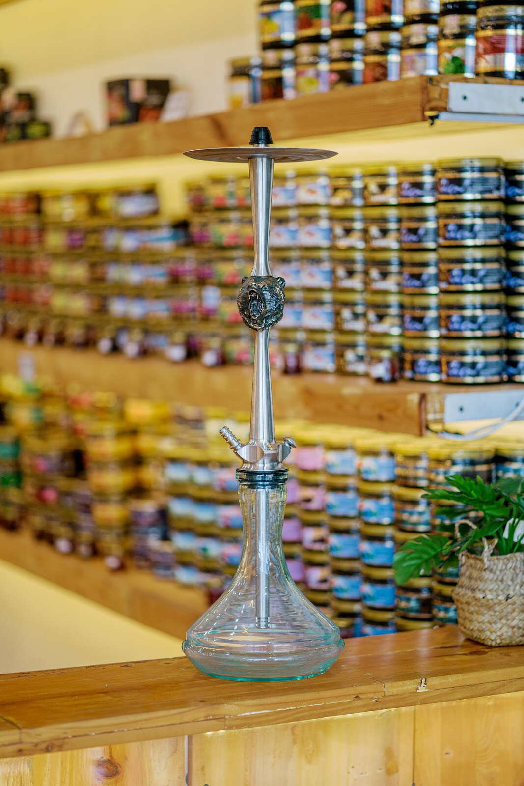 Myshisha Bali