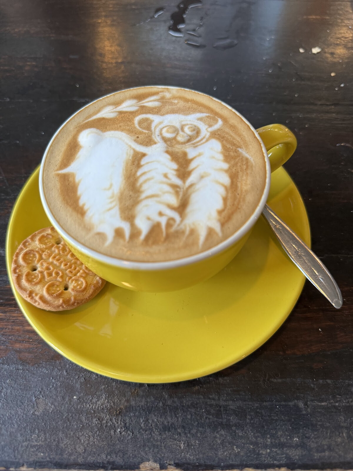 Sunny cafe penida