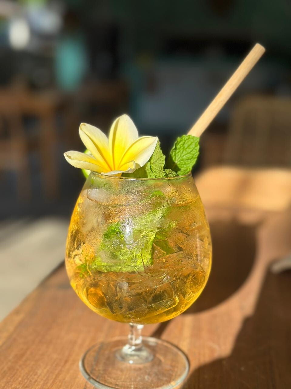PENIDA TROPICAL