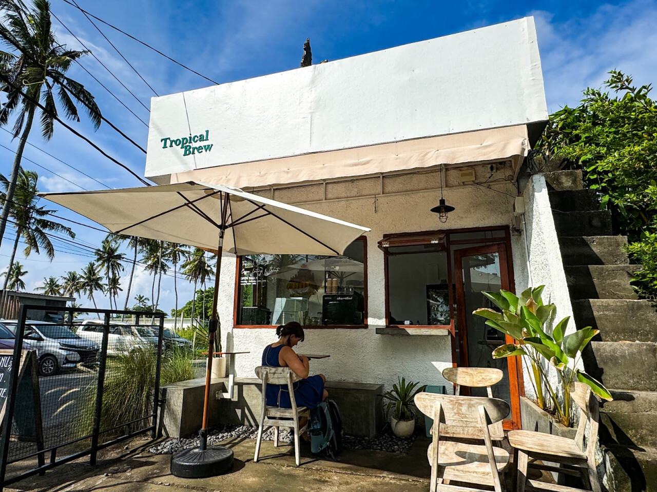 Tropical Brew