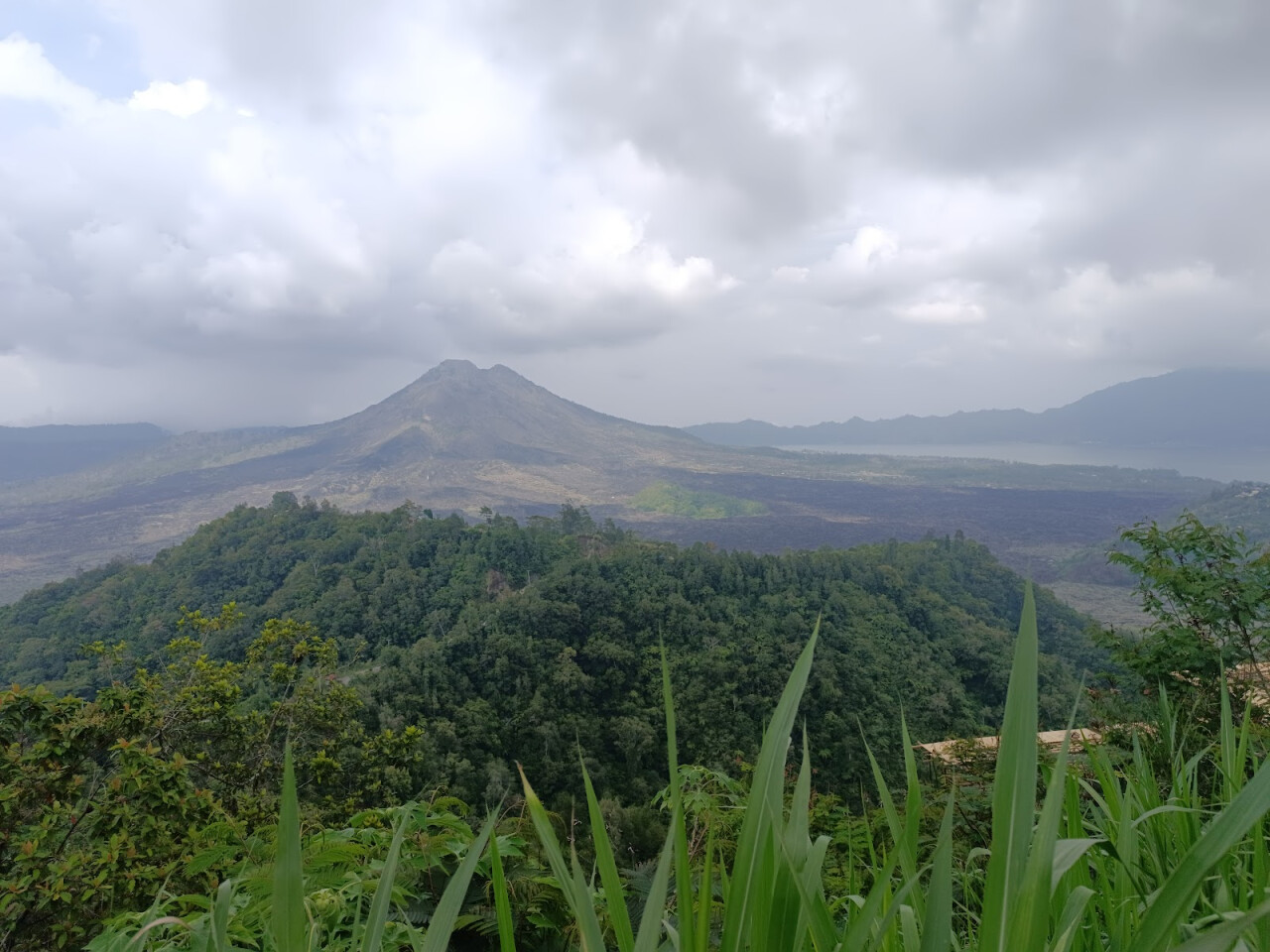 STARBUCKS KINTAMANI BALI