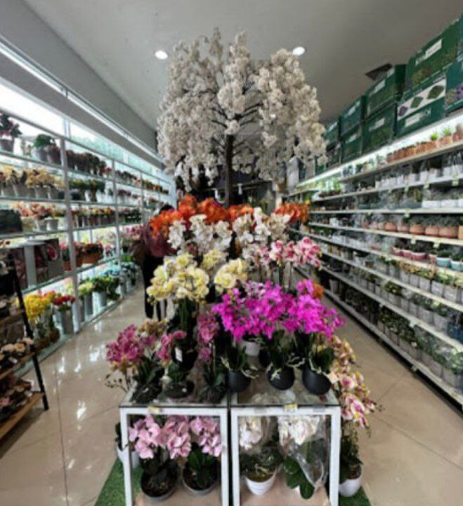 Ace Hardware