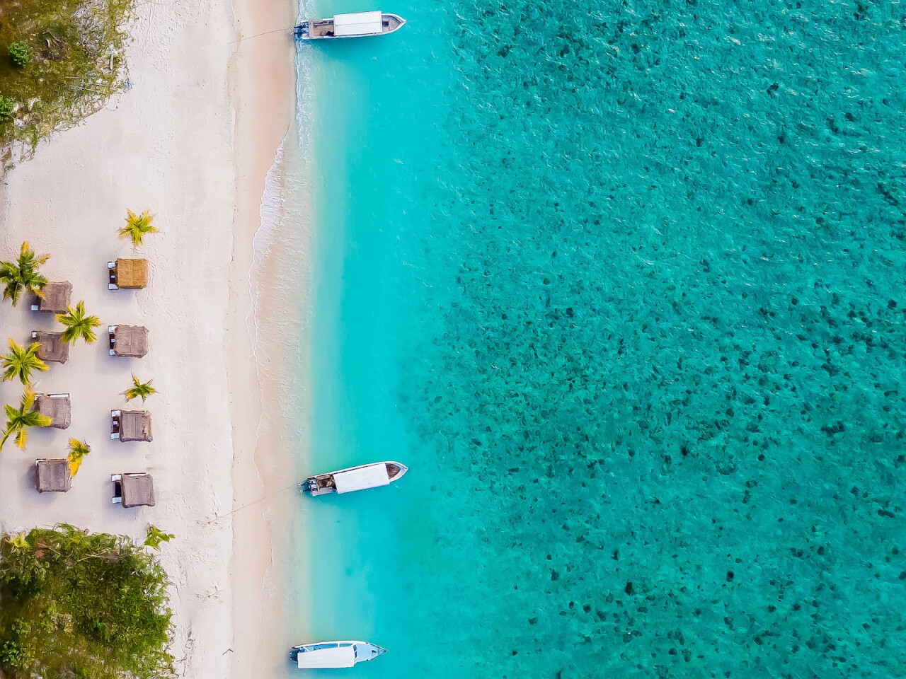 BDG | Bagno Di Gili | Turtle Point