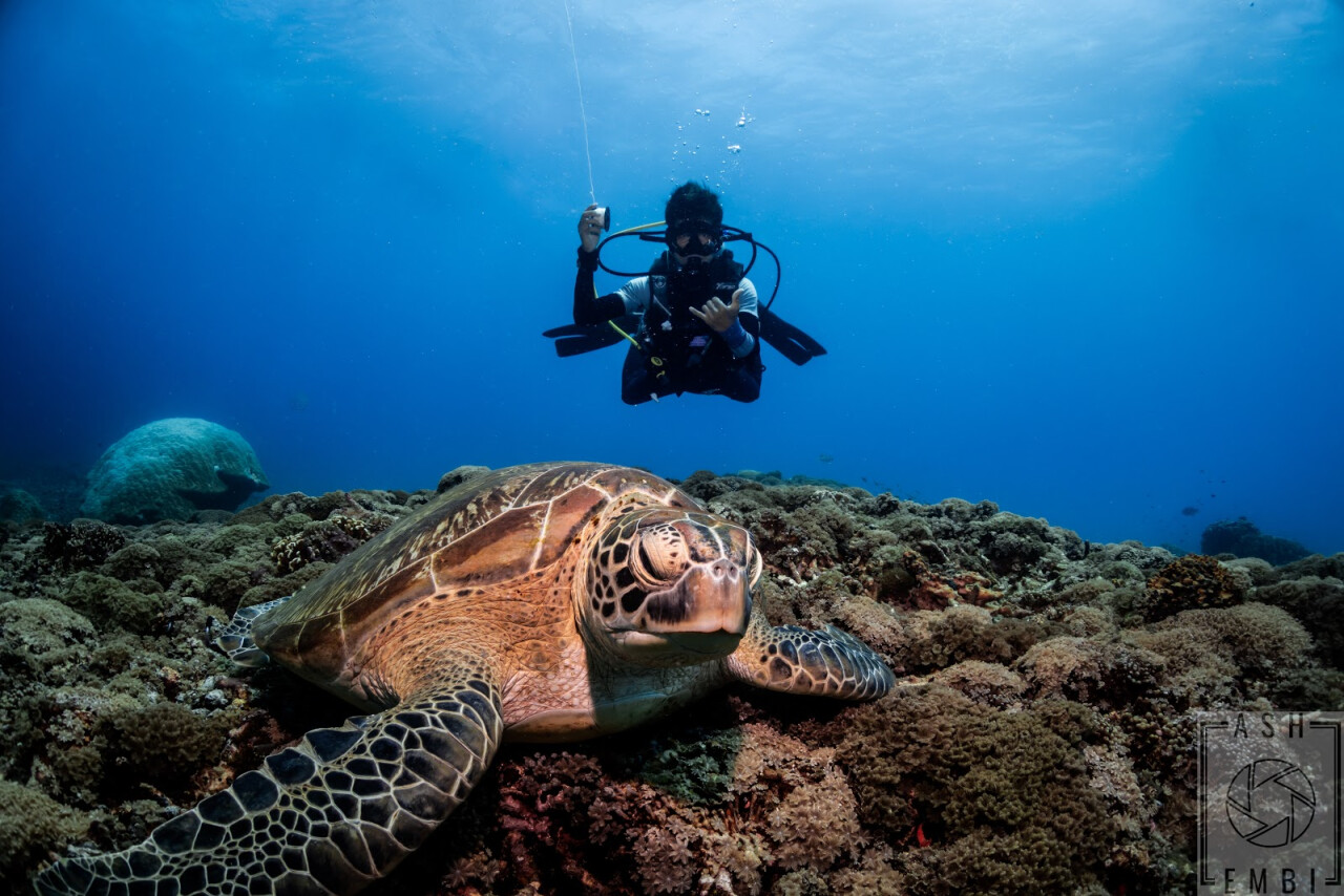 Дайв-центр Trawangan Dive Centre
