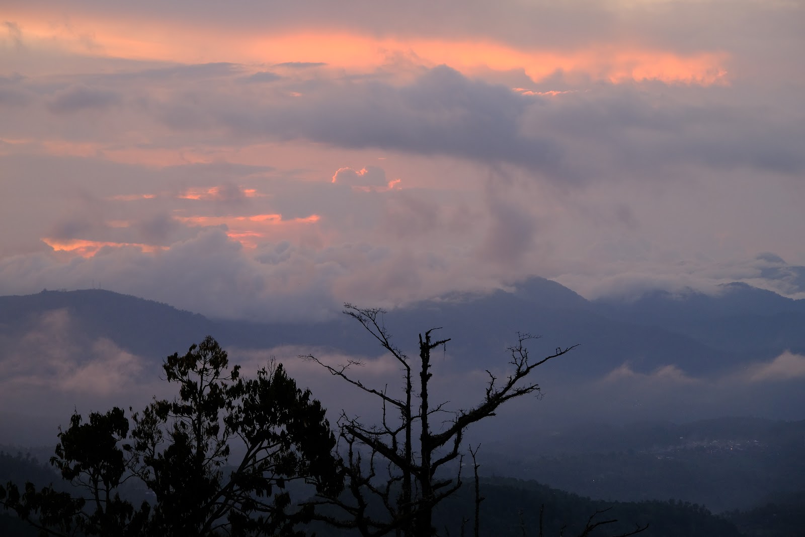 Warung Enjoy Cafe 2 Munduk