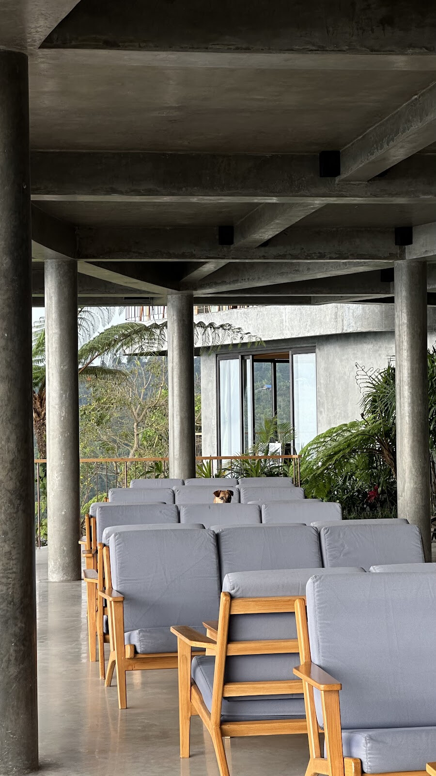 The Northview Bali