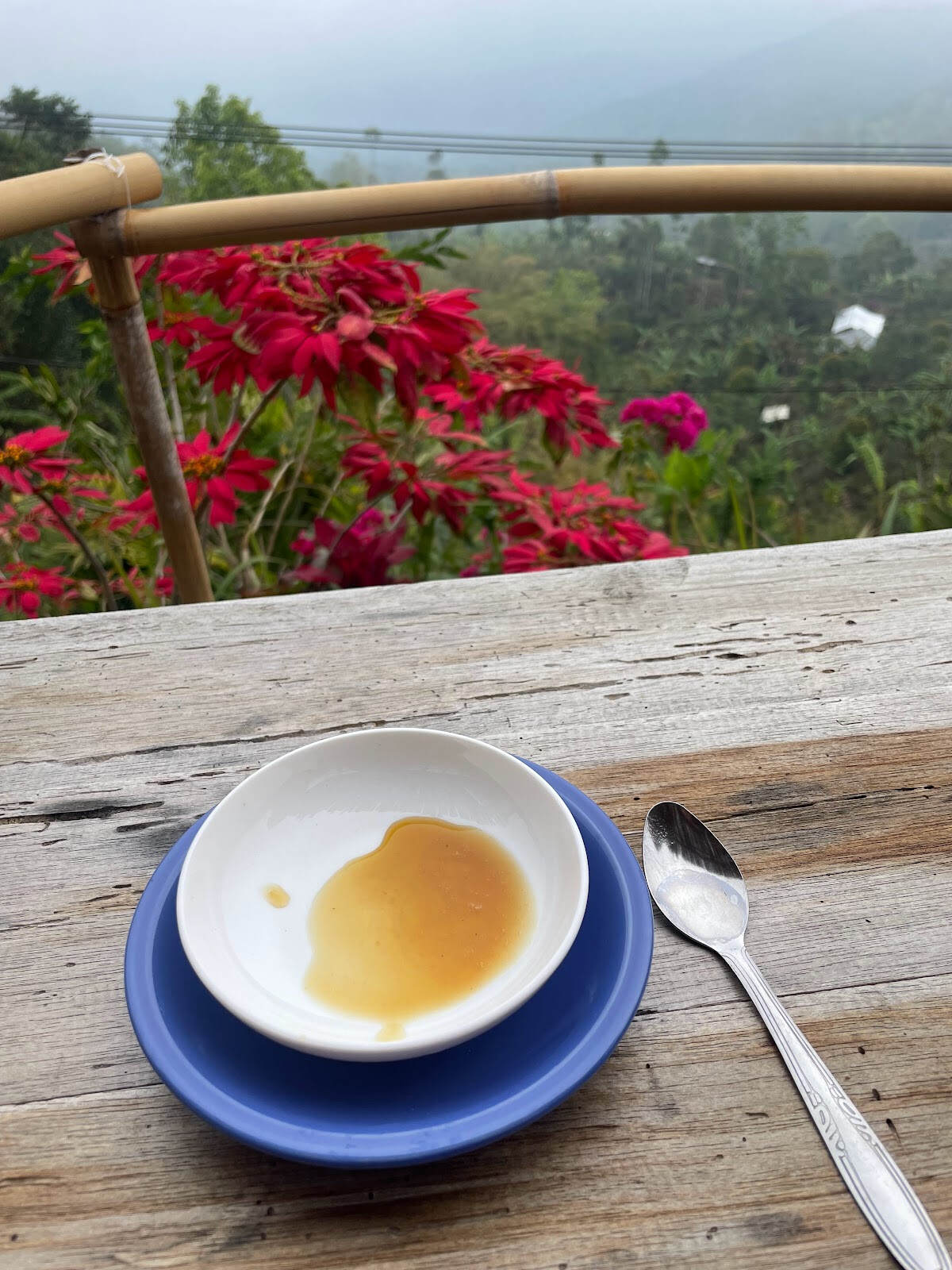 Munduk Gedong Agro,Warung Coffee Farm & Honeybee, Sunset View