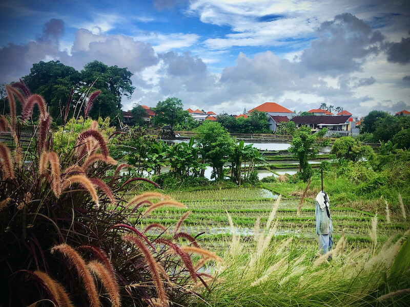WASIA (Thai, vietnam and western restaurant)