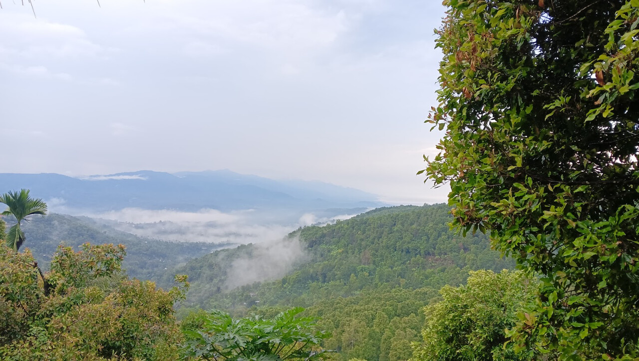 THE MELANTING Food Drink & View