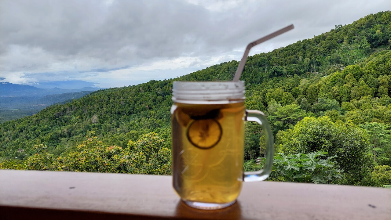 THE MELANTING Food Drink & View