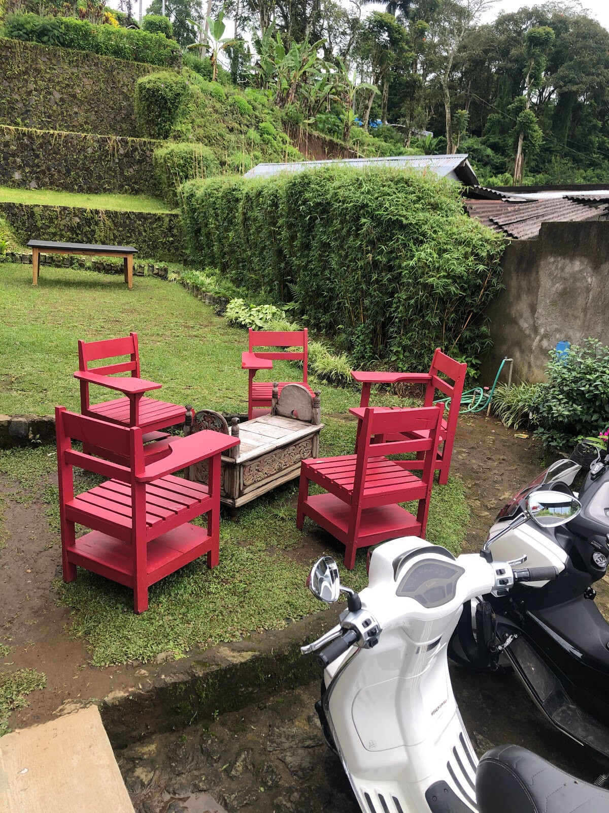 The Lost cafe