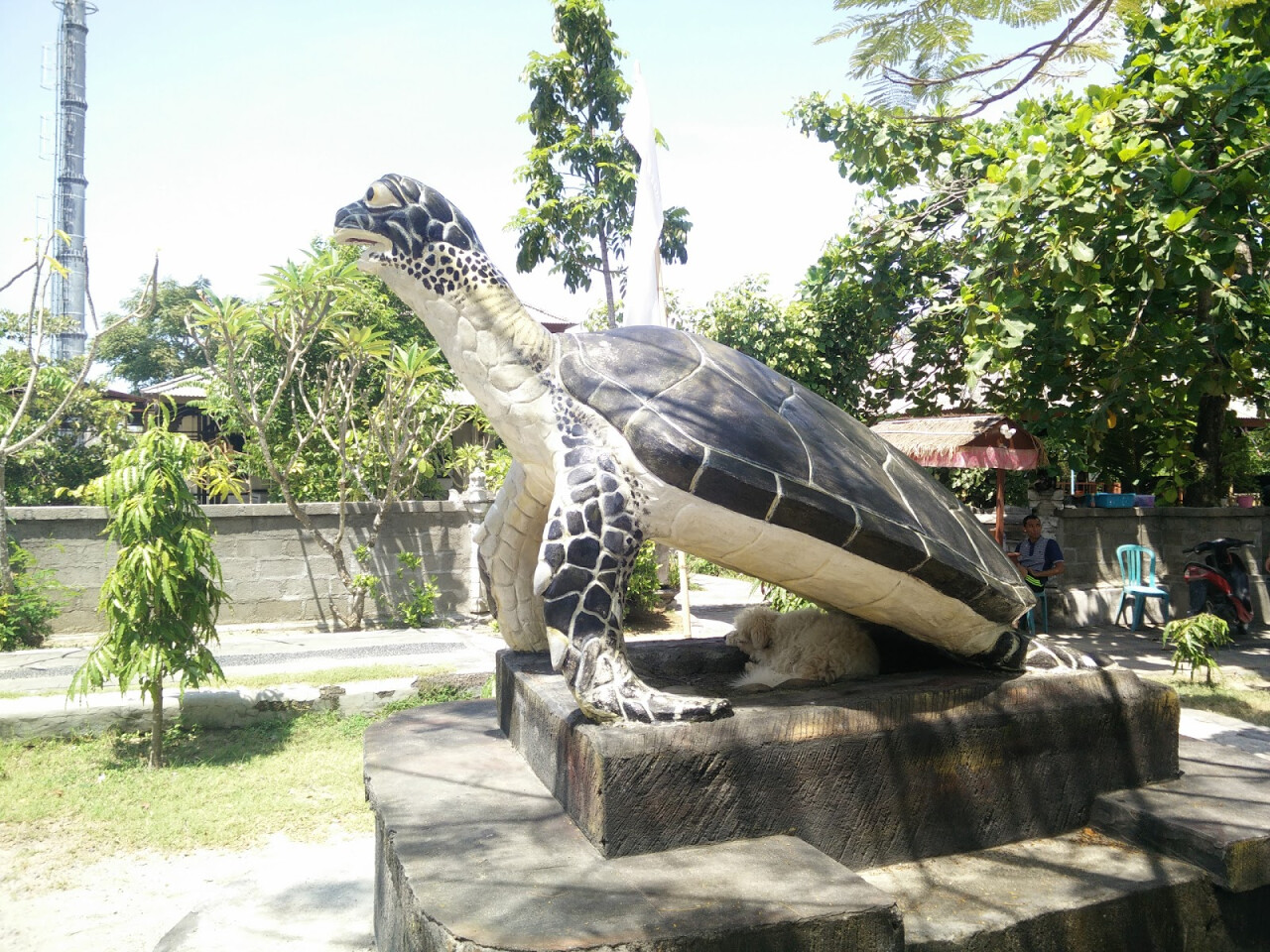 Центр сохранения и разведения черепах Serangan Turtle Centre