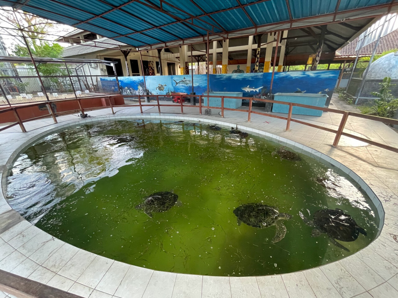 Центр сохранения и разведения черепах Serangan Turtle Centre