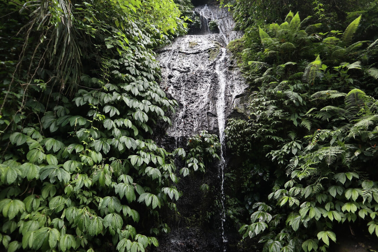 Водопад Air Terjun Kuning