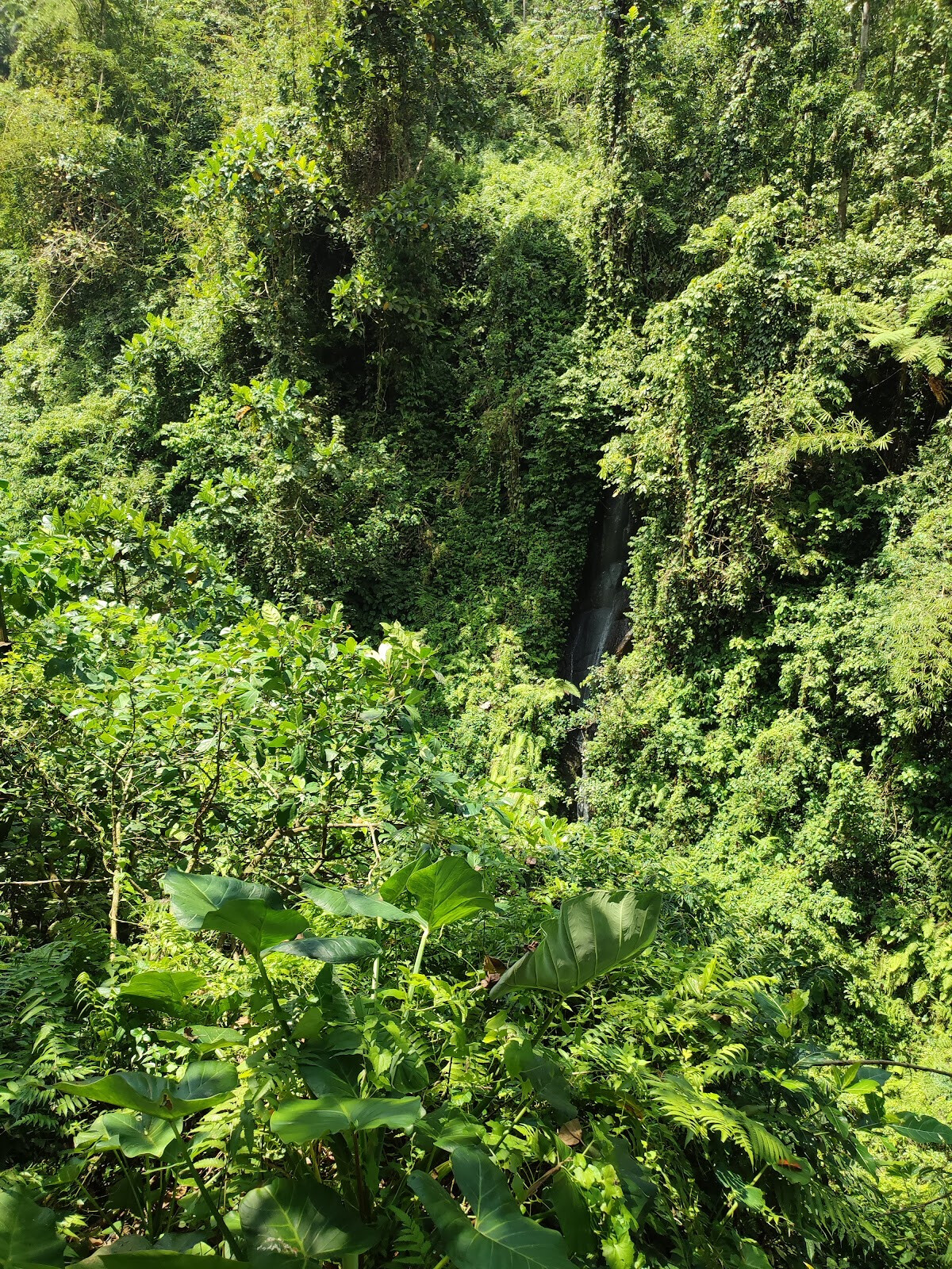 Водопад Air Terjun Kuning