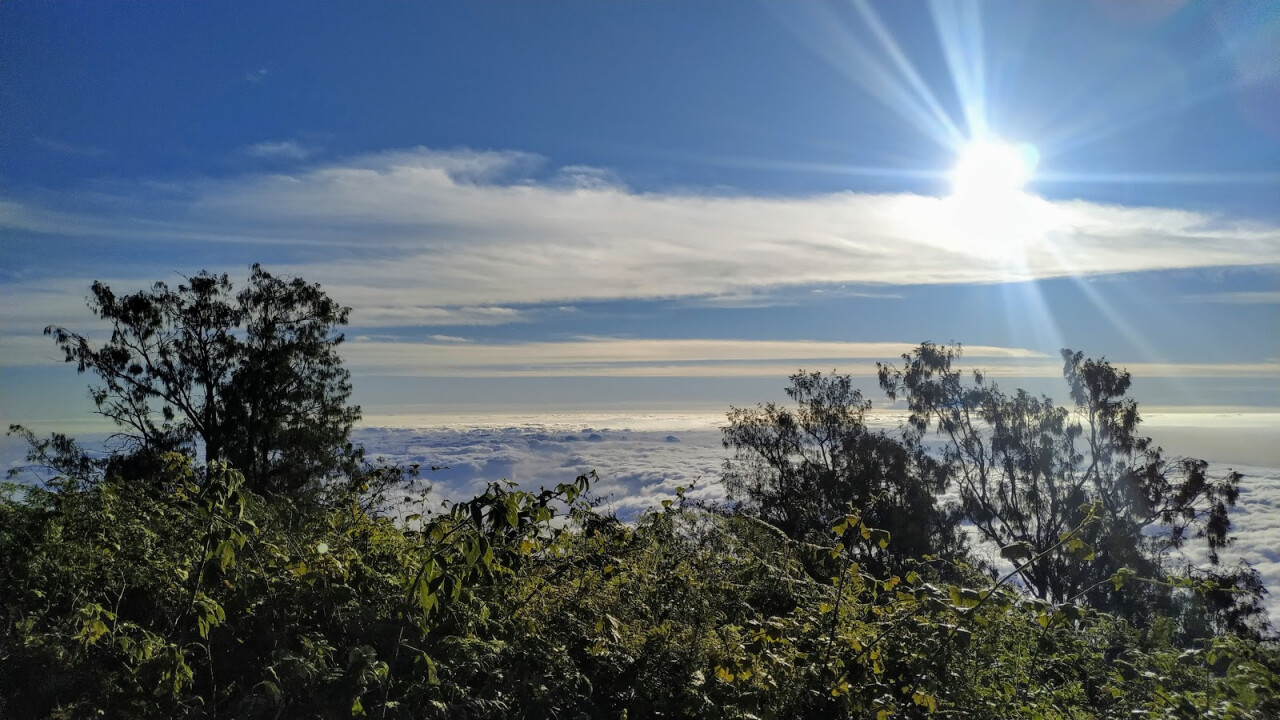 Gunung Batukaru (Mount Batukaru)