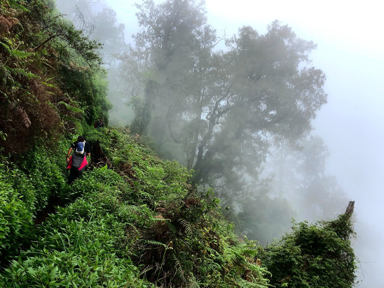 Gunung Sengayang