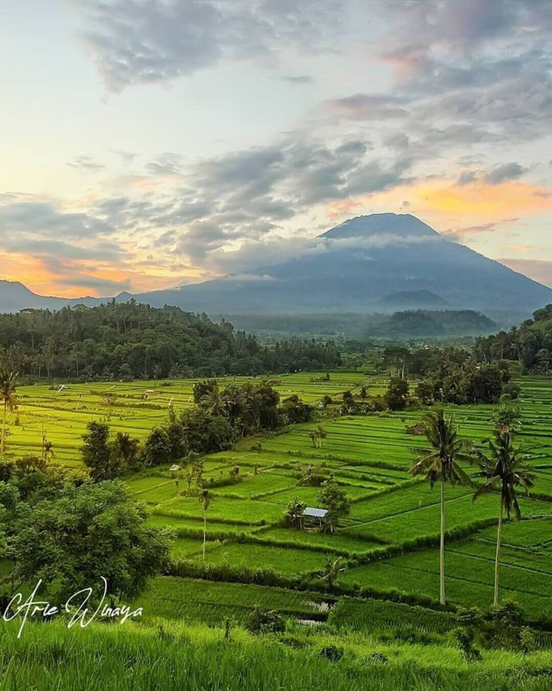 Bukit Cinta