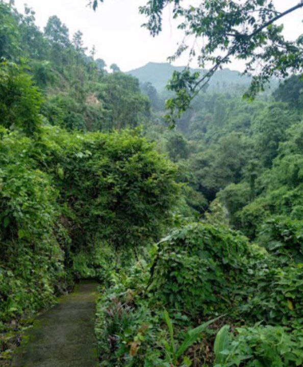 Wisata lesung kembar waterfall