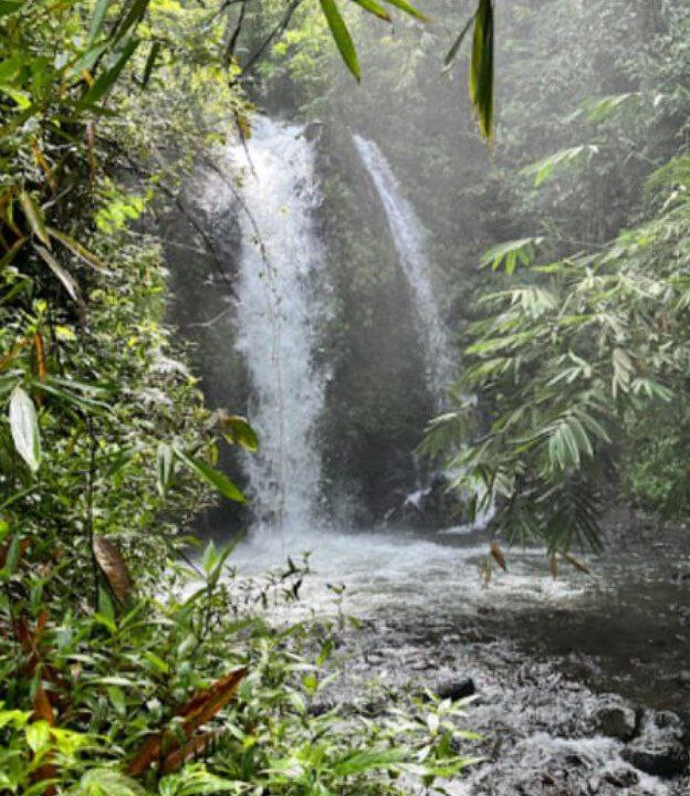Red Coral Munduk Waterfall