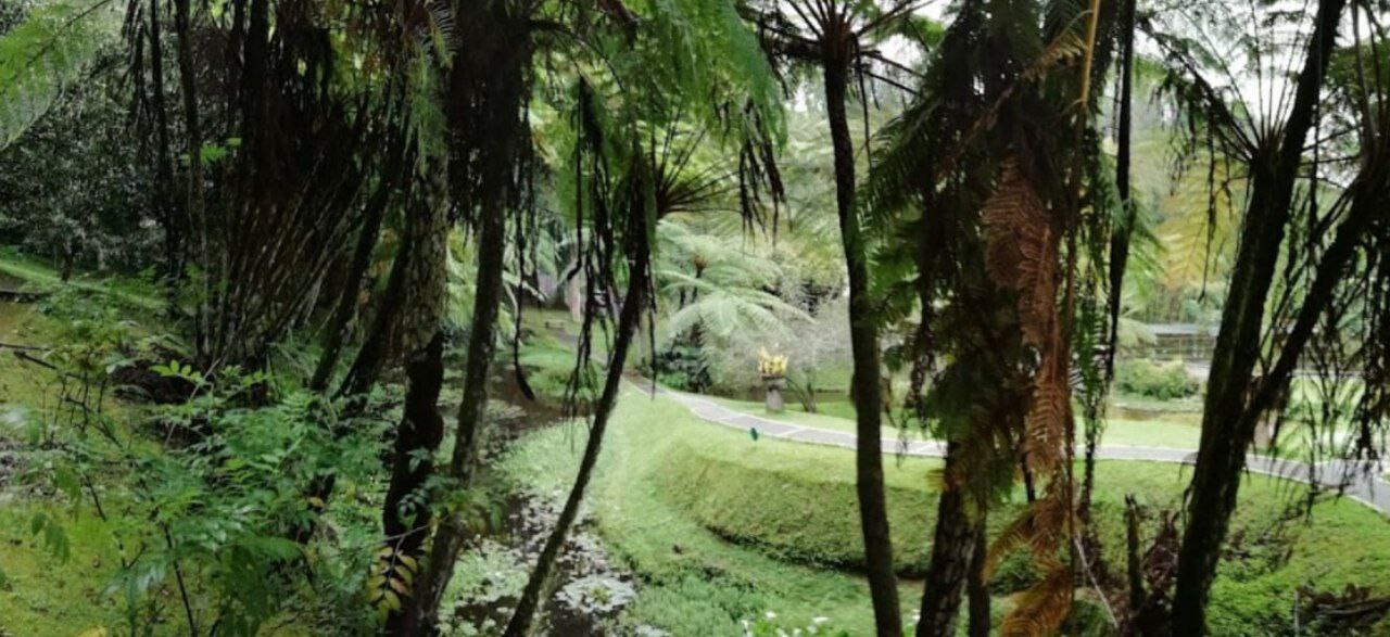 Aquatic garden