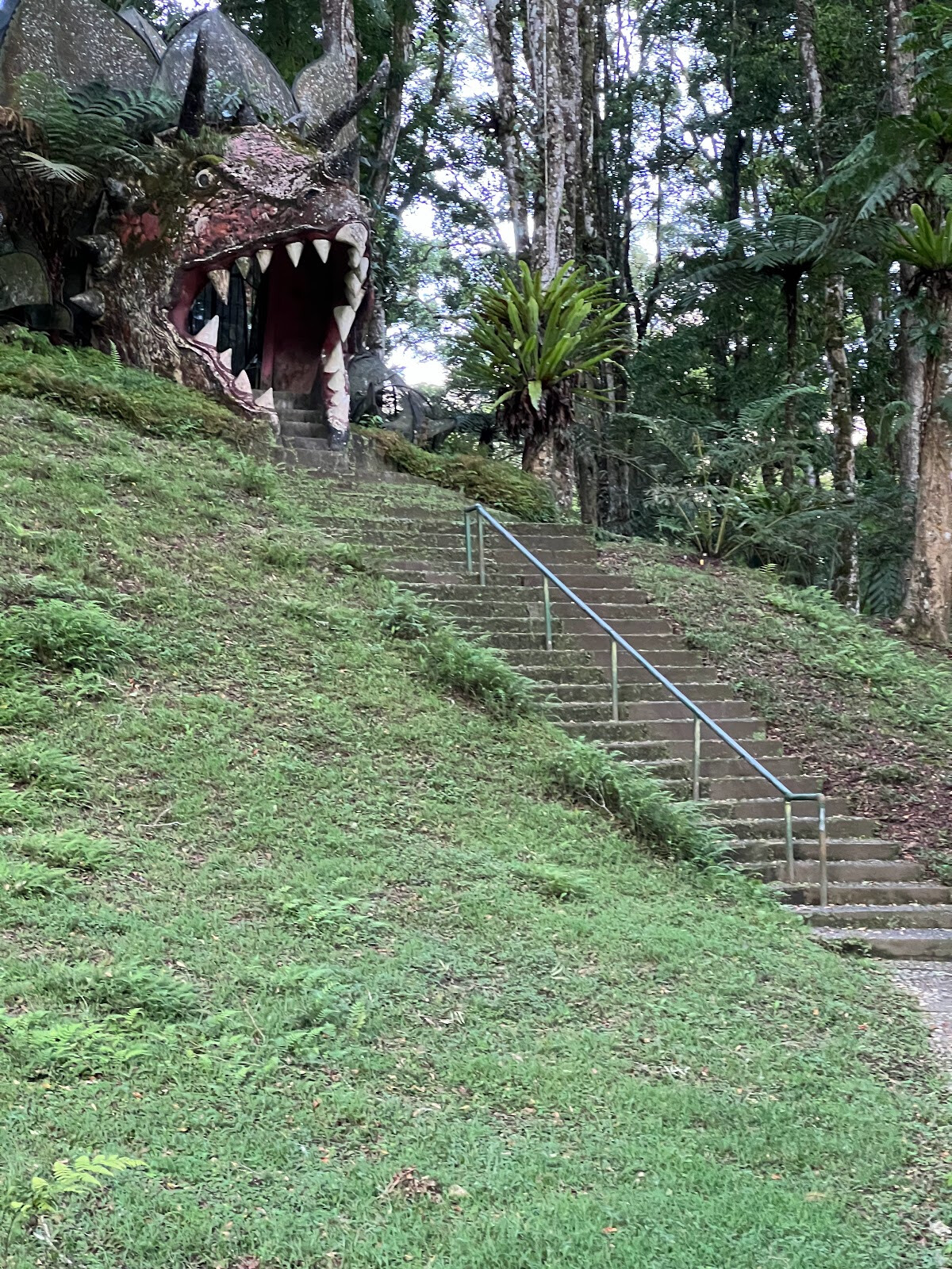Fern Garden