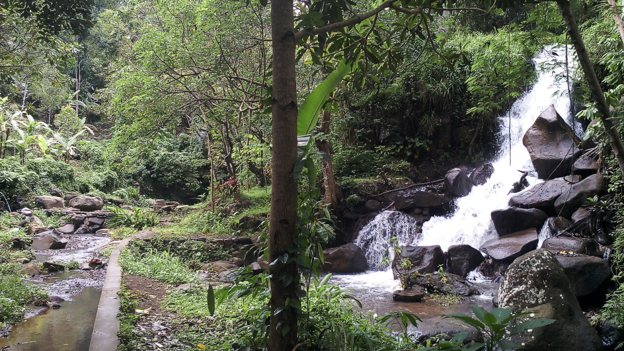Anakan Teja