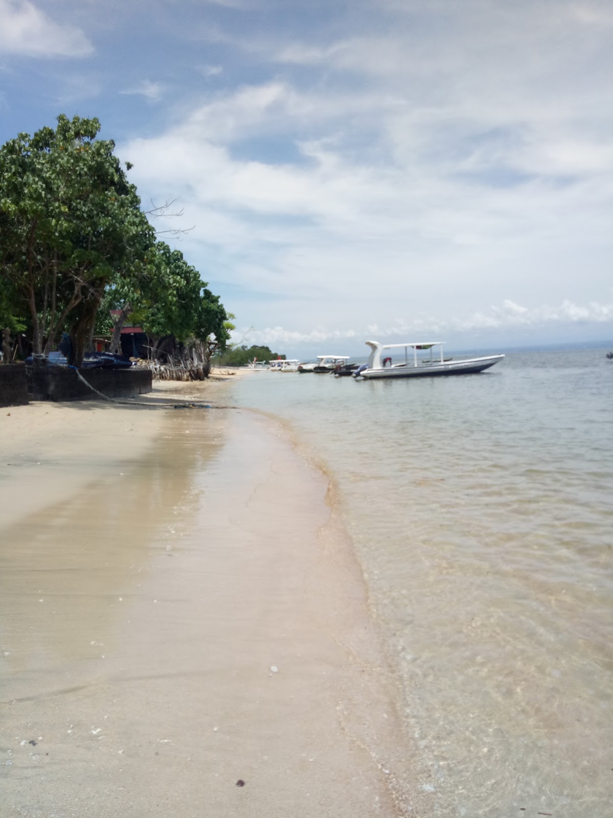 Mangrove Stop