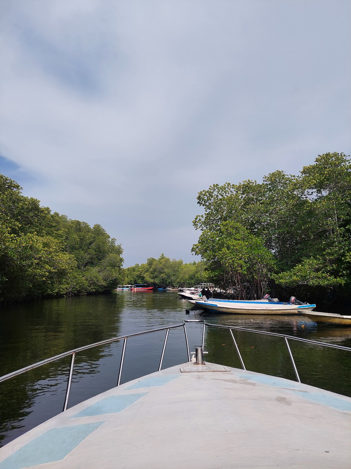 Mangrove Stop