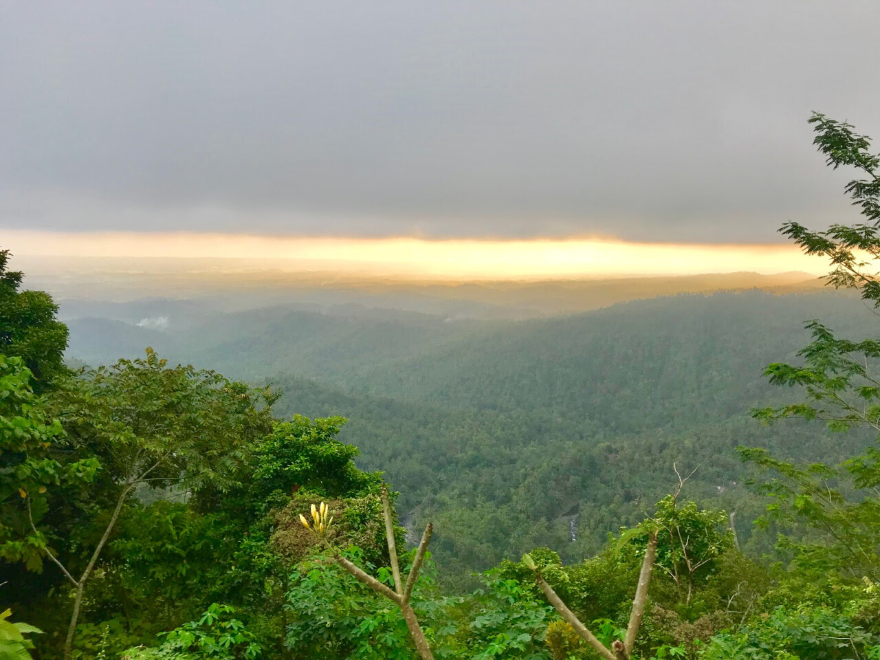 Wisata Puncak JR Jembrana Bali