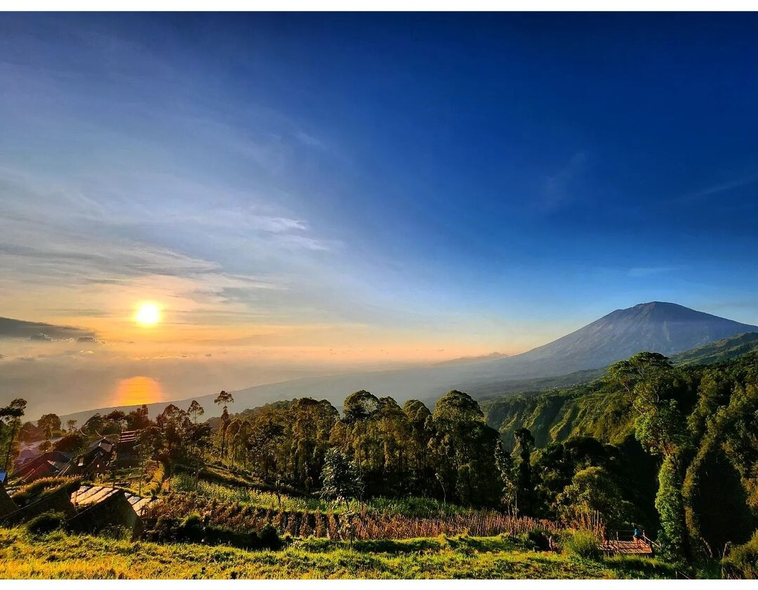Кемпинг Букитсари (Bukitsari Kintamani View & camp)