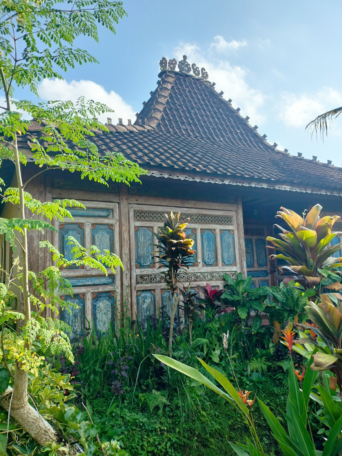 Баня Драгонфлай Виллидж (Dragonfly Village)