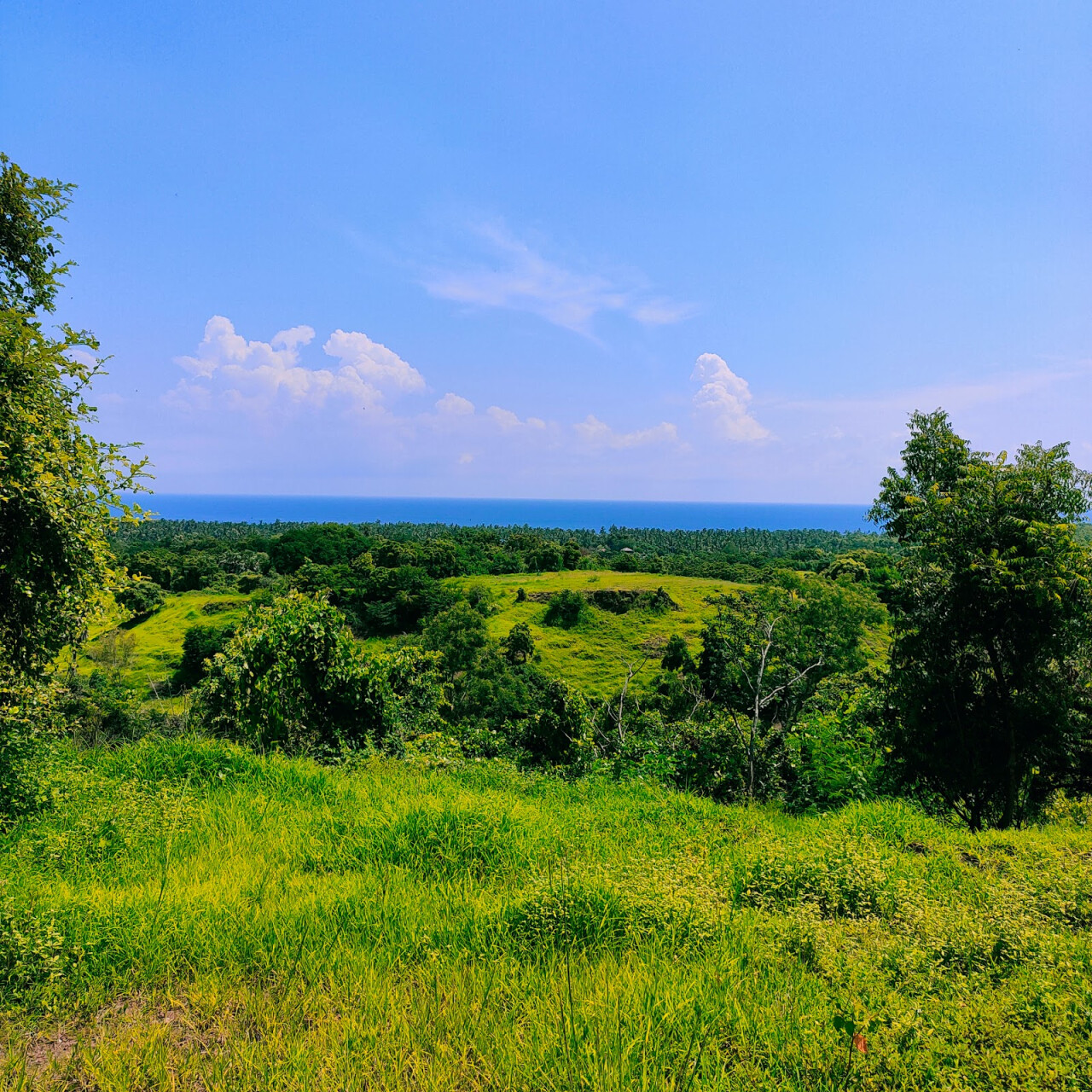 Холм телепузиков в Кубутамбахане (Bukit Teletubies Kubutambahan)