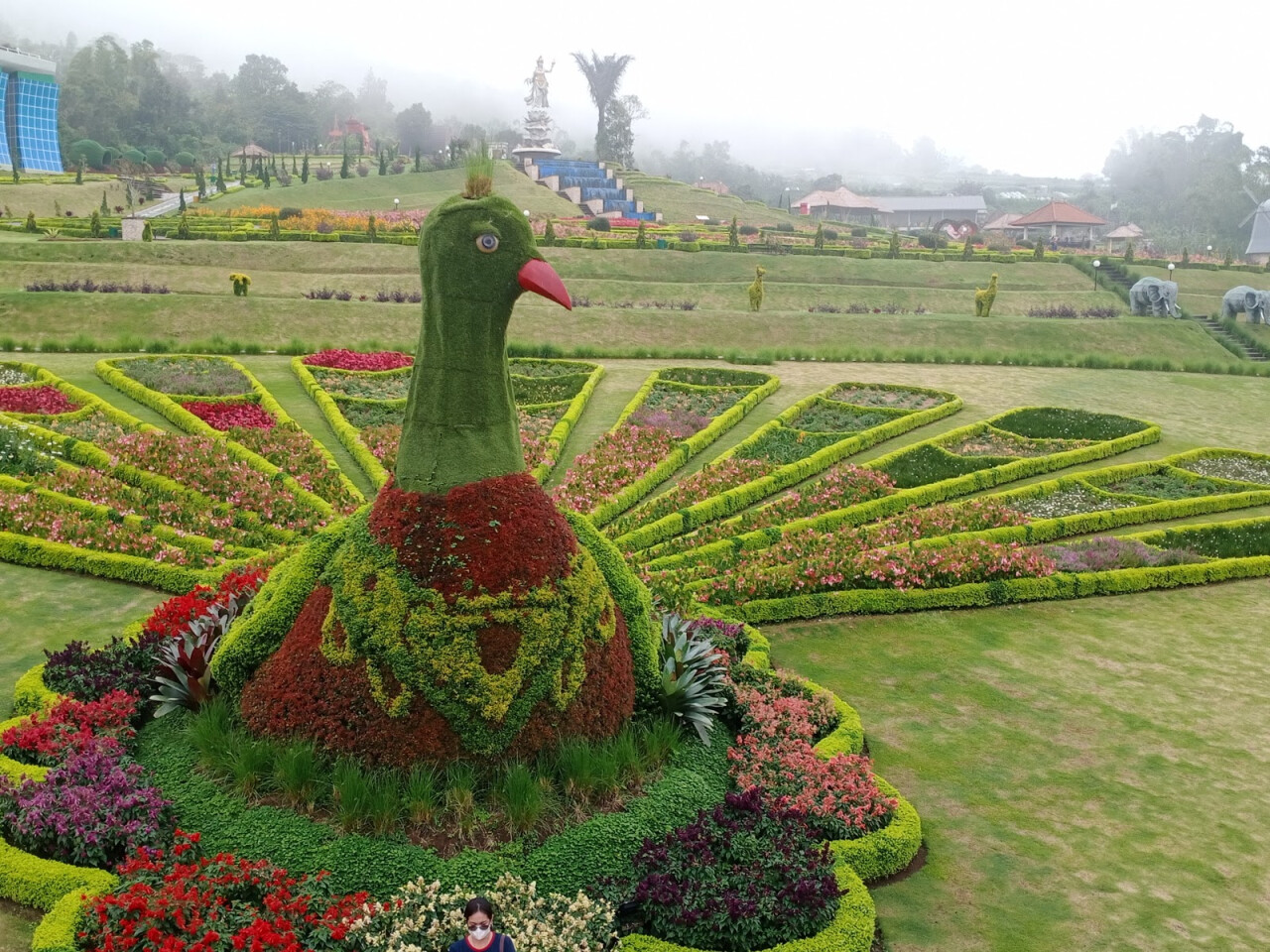 Blooms Garden