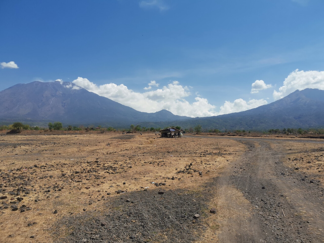 Savana Tianyar