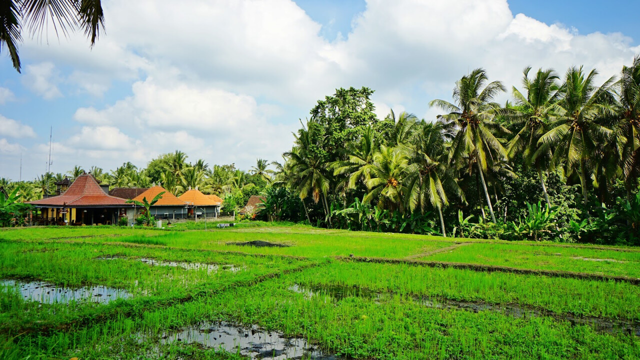 Kajeng Rice Field