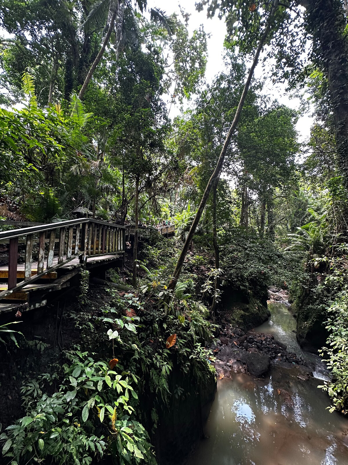 Парк Monkey Forest