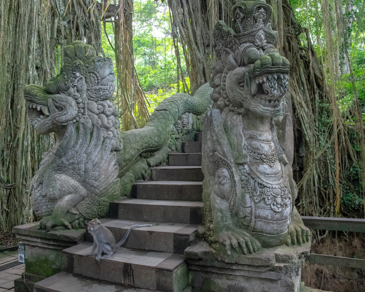Парк Monkey Forest